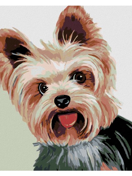 Haft diamentowy - Yorkshire terrier