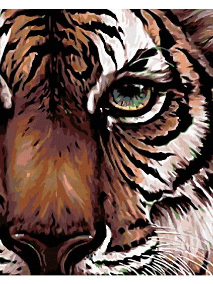 Haft diamentowy - Oko tygrysa