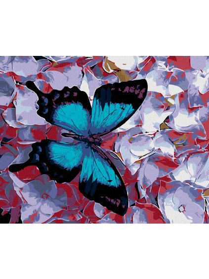 Haft diamentowy - Niebieski motyl i hortensje