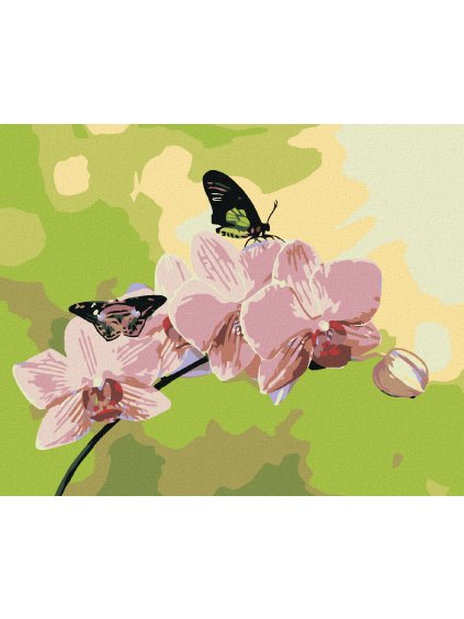 Haft diamentowy - Motyl na orchidei