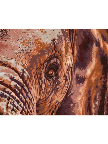 Haft diamentowy - Słonie oko