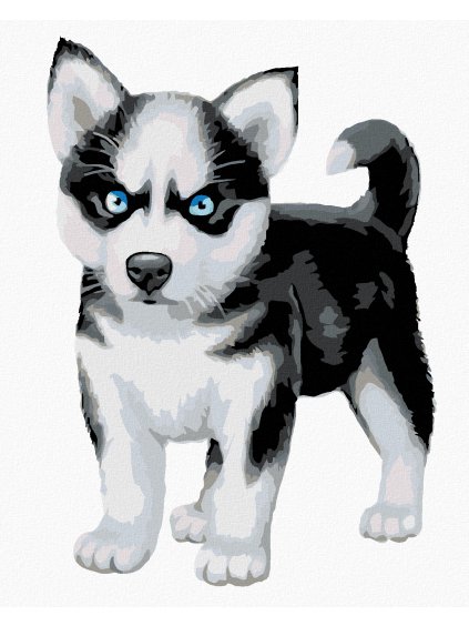 Haft diamentowy - Niebieskooki husky