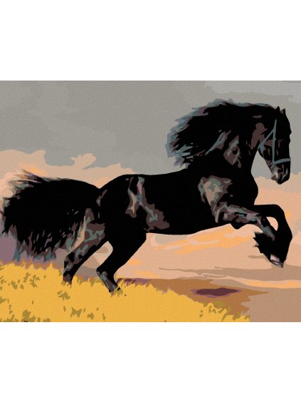 Haft diamentowy - czarny koń