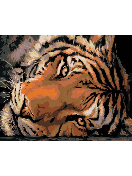 Haft diamentowy - Spojrzenie tygrysa