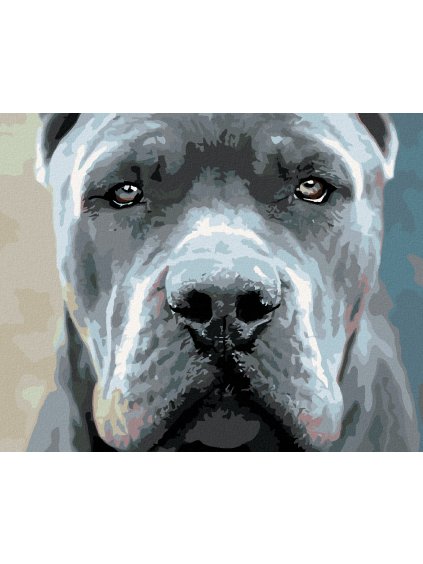 Haft diamentowy - Cane Corso