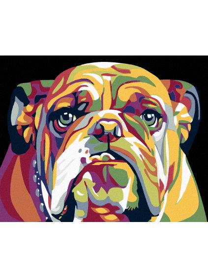 Haft diamentowy - Kolorowy bulldog II