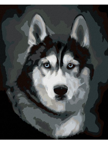 Haft diamentowy - HUSKY - PORTRET