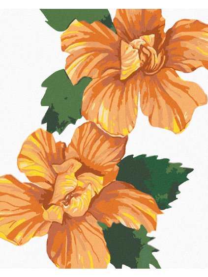 Haft diamentowy - POMARAŃCZOWA KETMIA - HIBISKUS (ALEXANDRIA GILBERT)