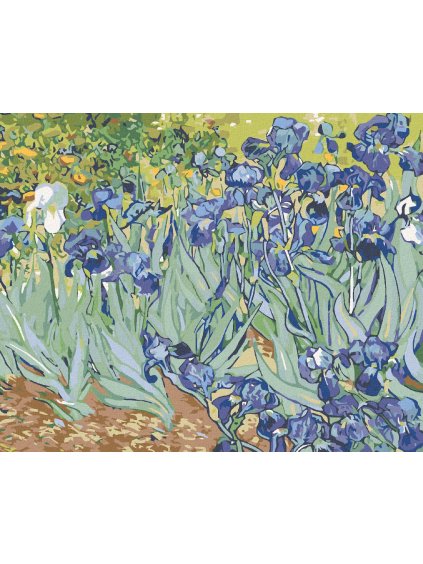 Haft diamentowy - Irysy (Van Gogh)