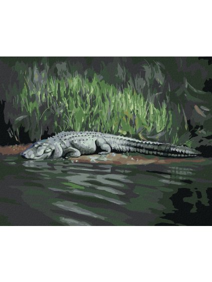 Haft diamentowy - ALIGATOR LEŻĄCY NAD WODĄ V (D. RUSTY RUST)