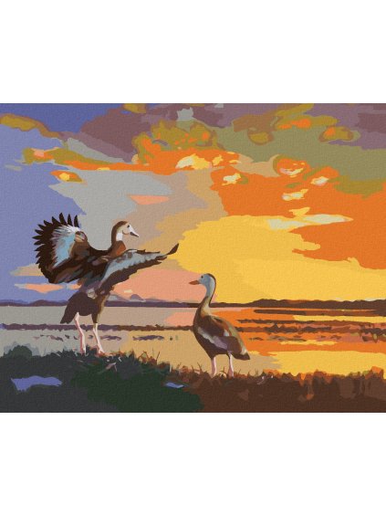 Haft diamentowy - KACZKI I ZACHÓD SŁOŃCA (D. RUSTY RUST)