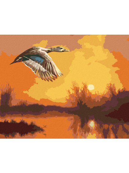 Haft diamentowy - KACZKA W LOCIE I WSCHÓD ZACHÓD SŁOŃCA (D. RUSTY RUST)