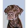 Haft diamentowy - Brązowy pies z obroża