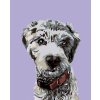 Haft diamentowy - Kudłaty pies