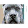 Haft diamentowy - Cane Corso (Wariant płótno bez ramy, Rozmiar 40x50 cm)