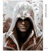 Haft diamentowy - ASSASSIN (Wariant płótno bez ramy, Rozmiar 40x50 cm)