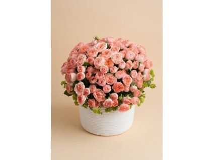 ebaa6f7b 7a04 46dc a6bc a2f983a01a95