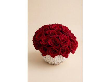 grok image d0b28d5c ea73 43df beab 430c852cf2b8