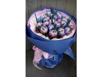 Barevných tulipánů 25 kusů