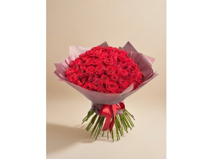 508aee9a 8502 4fdc 941d faf8d5e9cd27