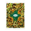 Sonnenblumenkerne-bunt-dragiert-1kg
