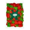 Riesige-Erdbeeren-XXL-1kg
