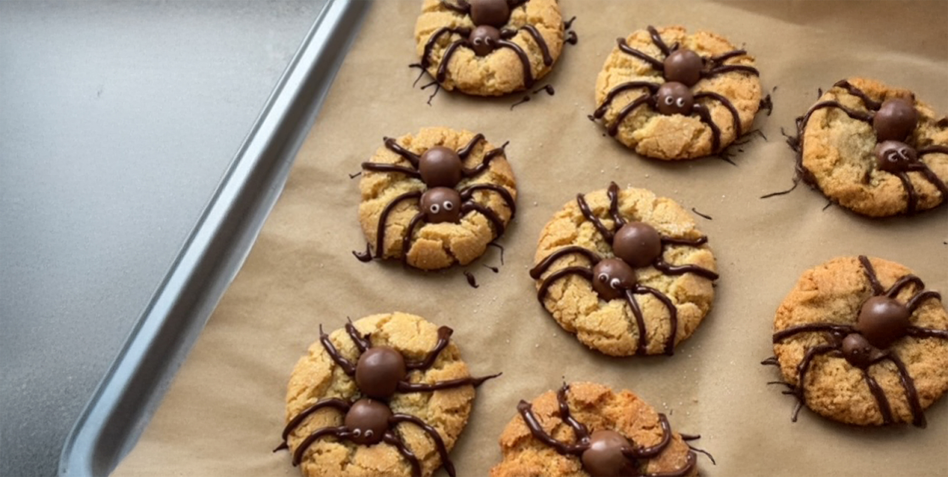 HRNKOVÉ SUŠENKY-DIANA COMPANY- MADAM_KOLACIK- DIANA V KUCHYNI