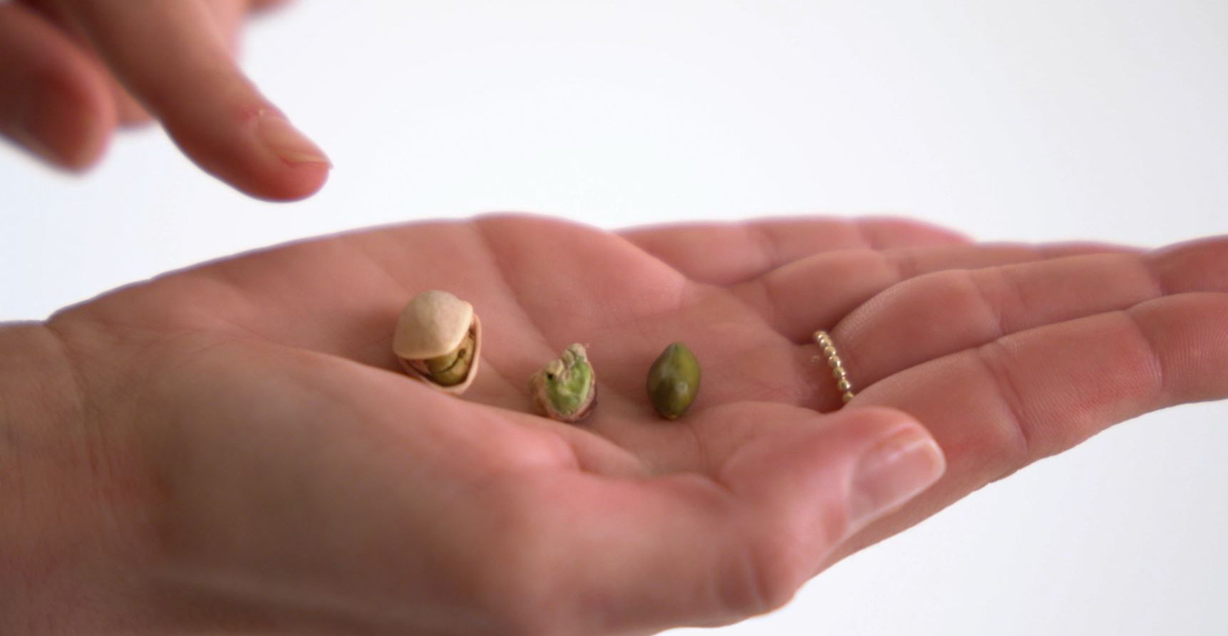 PISTÁCIA - DIANA COMPANY & @TOJIDLO - ŠKOLA PRÍRODY