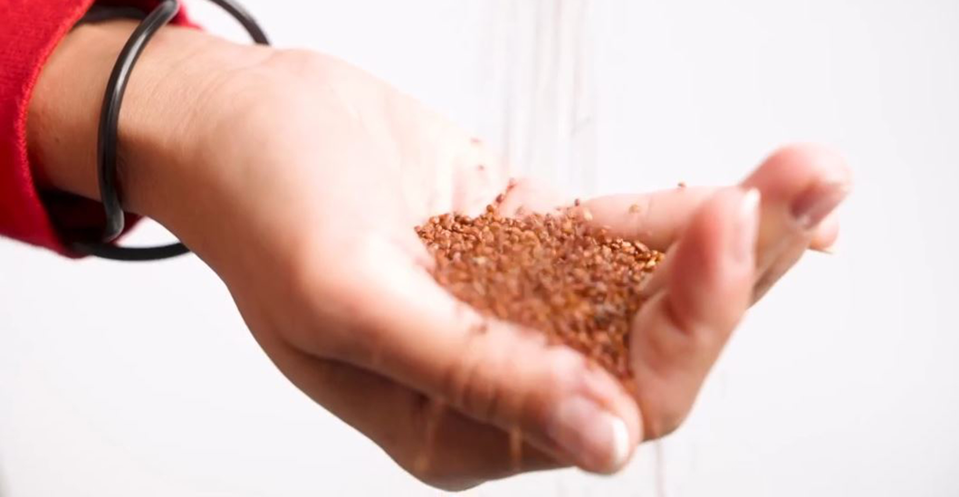 QUINOA- DIANA COMPANY & @TOJIDLO - ŠKOLA PRÍRODY