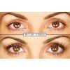 no1lash predpo 09 cz