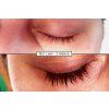 no1lash predpo 10 cz