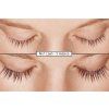 no1lash predpo 14 cz