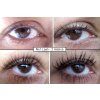 no1lash predpo 15 cz