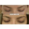 no1lash predpo 16 cz