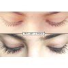 no1lash predpo 18 cz
