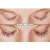 no1lash predpo 02 cz