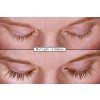 no1lash predpo 05 cz
