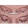 no1lash predpo 06 cz