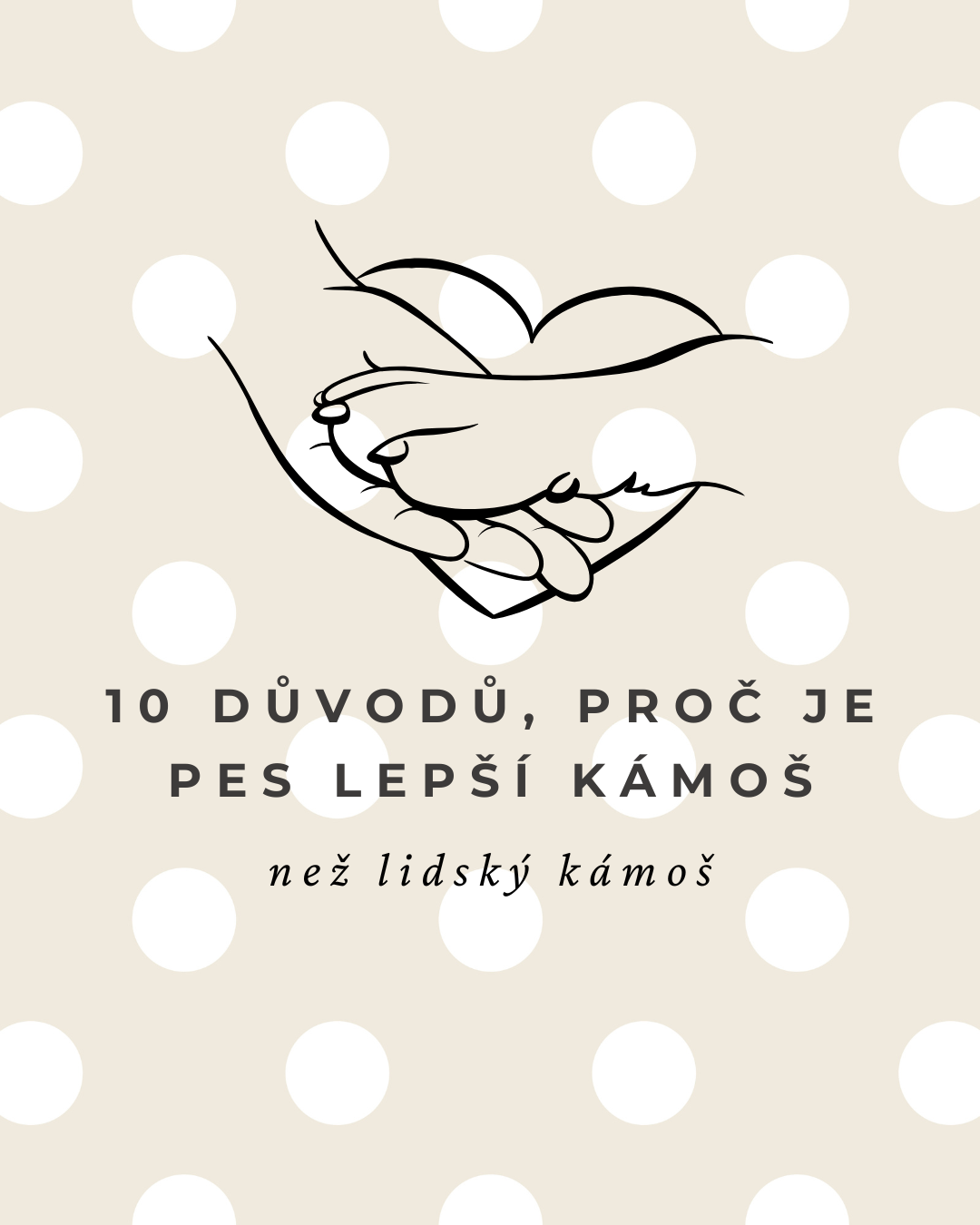 10 důvodů, proč je pes lepší kámoš než lidský kámoš