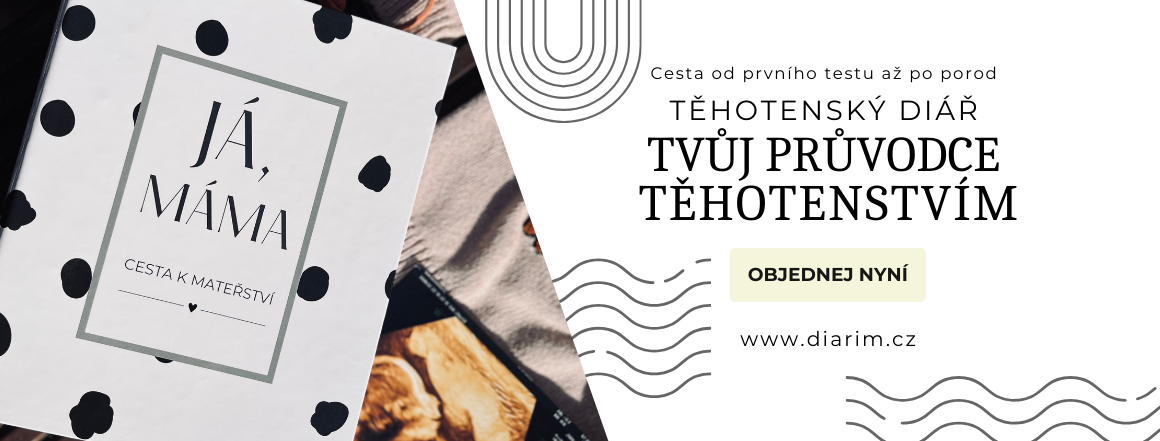 Těhotenský diář