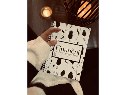 Finanční a rozpočtový diář