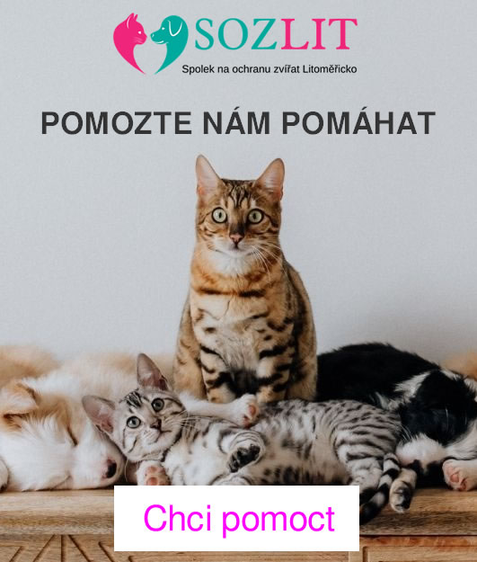 SOZLIT Banner Pomozte nam pomahat