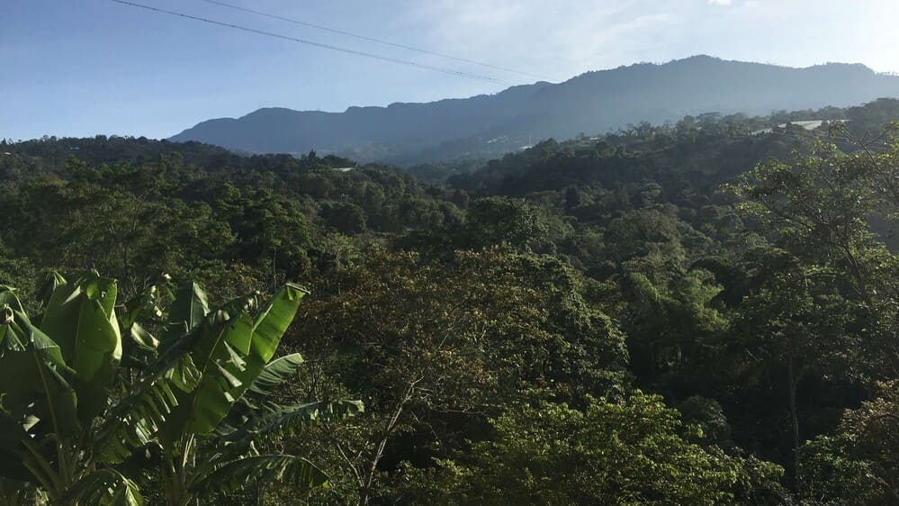 Prvé rande s kolumbijskou džungľou alebo prečo si v pralese zaobstarať repelent