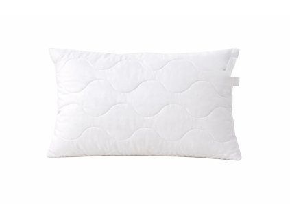 ChatGPT Image 8. 1. 2026, 13 24 27