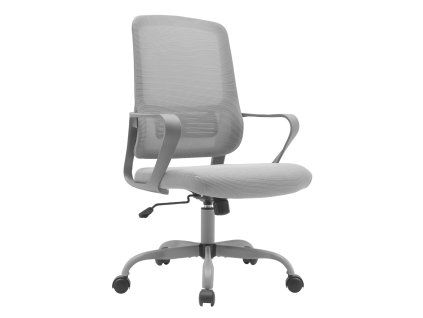 SALOMO TYP2 NEW siva hl