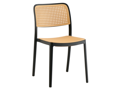 ravid typ 1 cierna 01