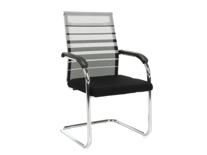 esin stolicka siva hlavny