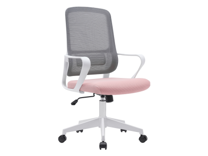 salomo typ1 ruzovasiva 01