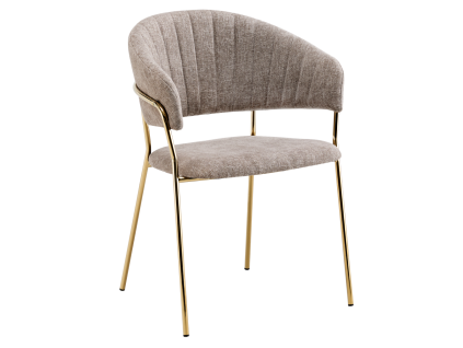 dasmin typ 1 hneda 01 dod