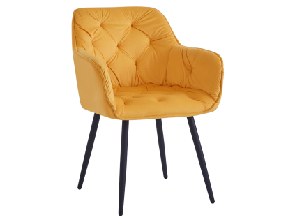 fedris new stolicka zlta 00